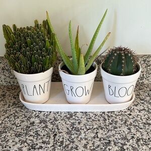 Plant Grow Bloom POTS/TRAY ONLY (plants not included)